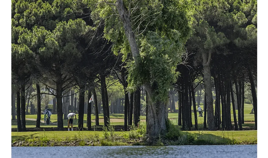 golf-en-chiclana-novo-sancti-petri-1 Campo de golf en Chiclana entre pinos y lago en Real Novo Sancti Petri