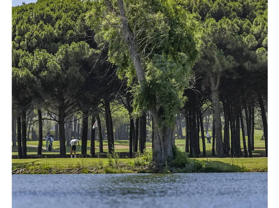 golf-en-chiclana-novo-sancti-petri-1 Campo de golf en Chiclana entre pinos y lago en Real Novo Sancti Petri